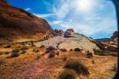 L1008990