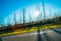 20210902-DSCF2064